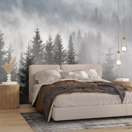 Fototapete Tannenbäume mit nebligen wald im hintergrund