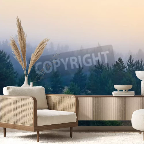 Fototapete Kleine nadelbäume vom nebel umgeben