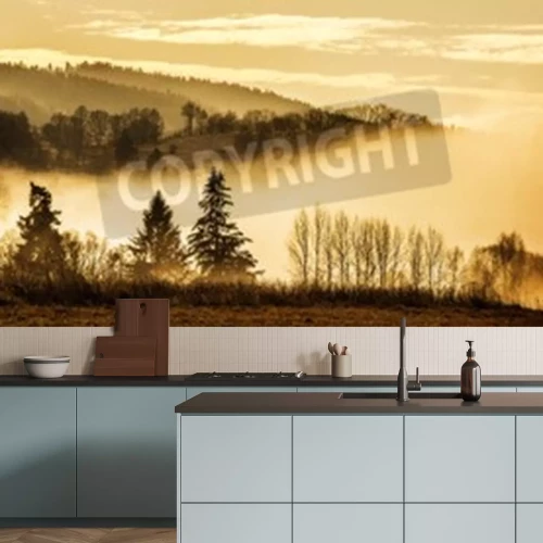 Fototapete Baumsilhouetten in gelbem nebel