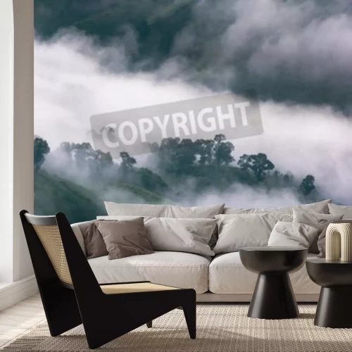 Fototapete Nebelverhangener regenwald