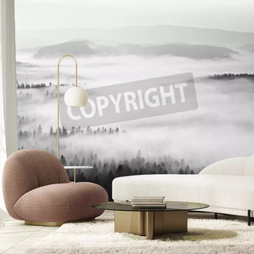 Fototapete Wald im nebel monochromatischer