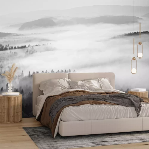 Fototapete Wald im nebel monochromatischer