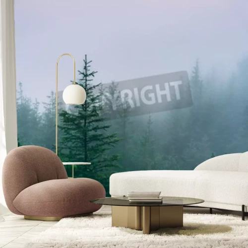 Fototapete Nadelbäume in der herbstaura