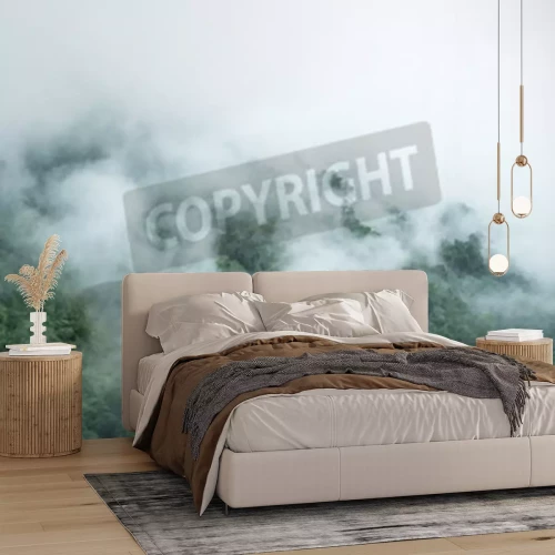 Fototapete Nebel in den wäldern