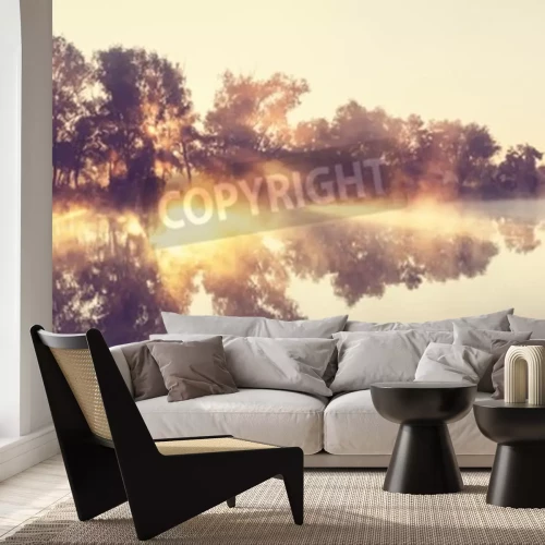 Fototapete Baumschatten am fluss