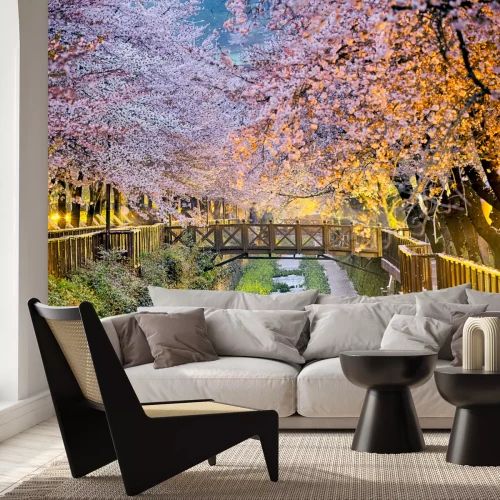 Fototapete Blühende Kirschbäume über der Brücke