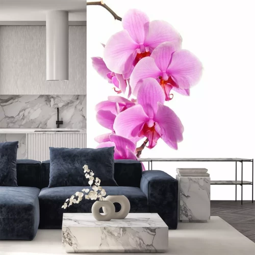 Sticker Große Orchideenblüten
