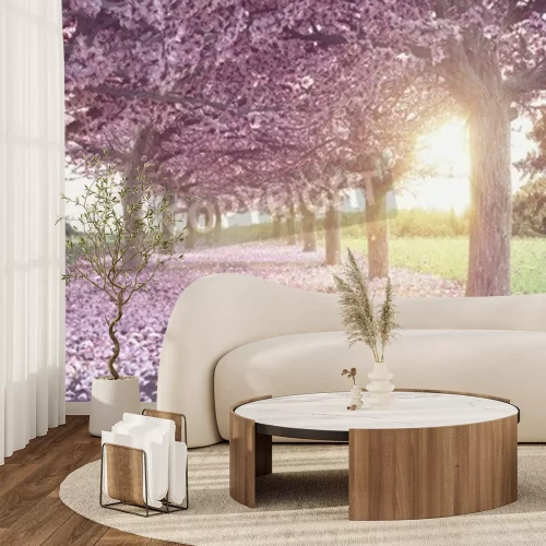 Fototapete Baum mit rosa Blumen