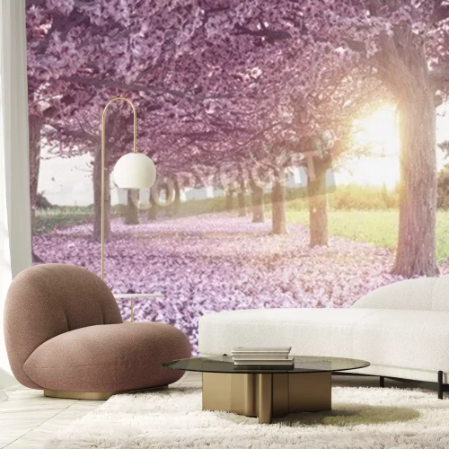 Fototapete Baum mit rosa Blumen