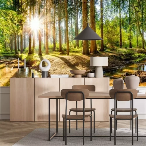 Fototapete Laubwald 3d