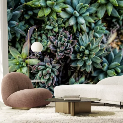 Fototapete Dunkelgrüne Sukkulenten