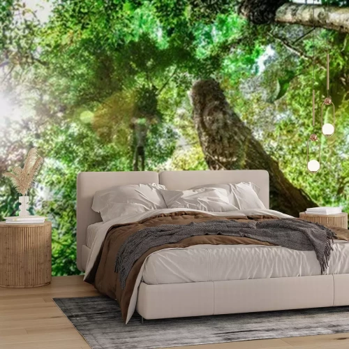 Fototapete Bäume des tropischen Dschungels