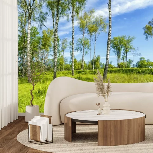 Fototapete Wiesenlandschaft und Birken