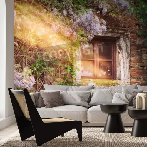 Fototapete Morgen in verlassener Hütte