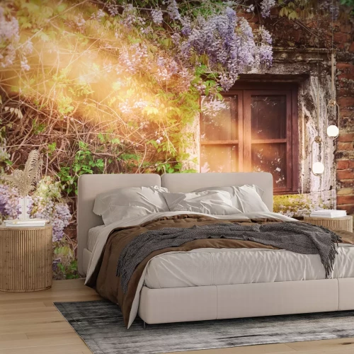 Fototapete Morgen in verlassener Hütte