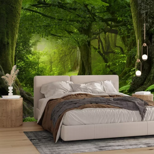 Fototapete Dichte Tropen in Asien