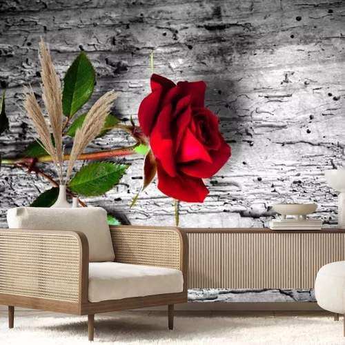 Sticker Blume auf Beton liegend