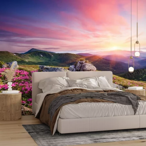 Fototapete Sommerlandschaft mit Blumen in den Bergen