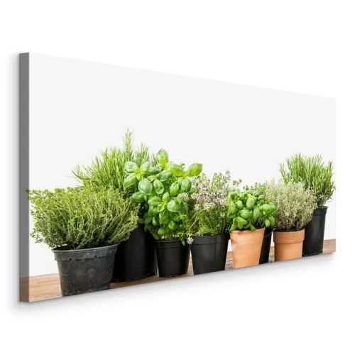 Bild Kräuter in Töpfen Basilikum Rosmarin und Thymian