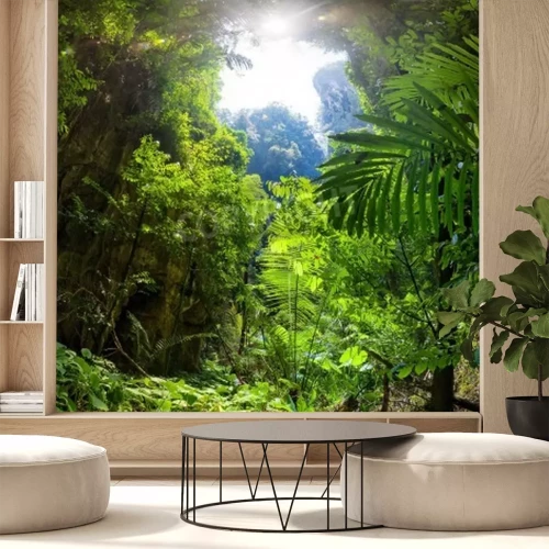 Fototapete Tageslicht im Dschungel