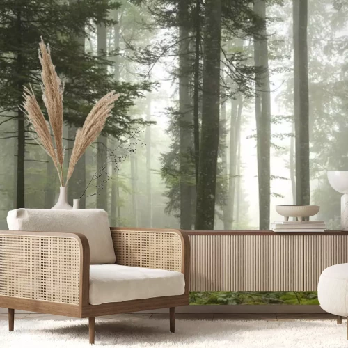 Fototapete Lovely nebeligen Wald Baum Landschaft