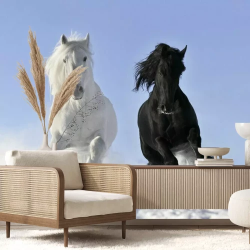 Fototapete Rappe und weißpferd