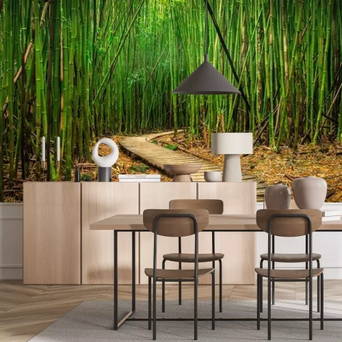 Fototapete Bambuswald