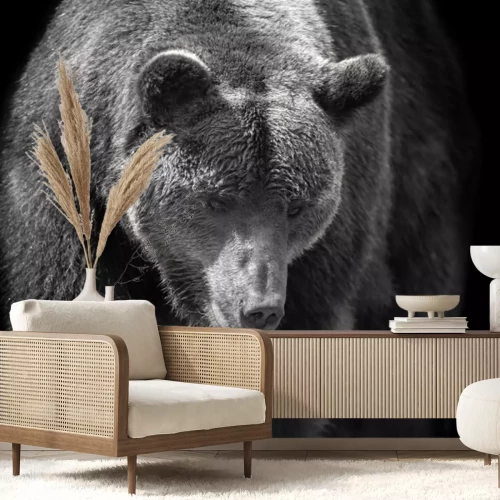 Fototapete Porträt eines Bären auf schwarzem Hintergrund