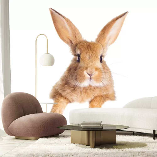 Sticker Niedlicher roter Hase auf weißem Hintergrund