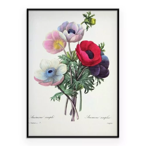 Poster Ein Strauß bunter Mohnblumen im Retro-Stil