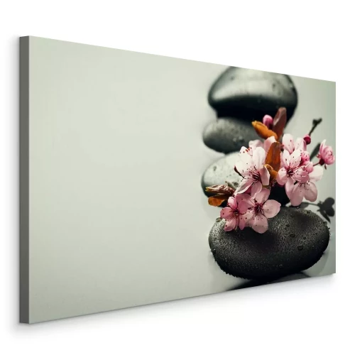 Bild Rosa Blumen auf schwarzen Steinen