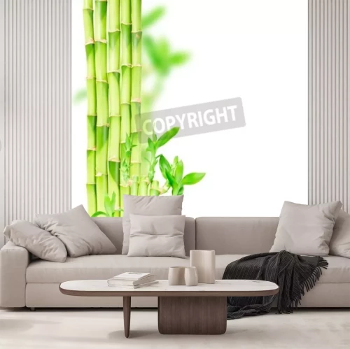 Sticker Grüne Bambus Stiele und Traufe Grenze isoliert auf weißem Hintergrund
