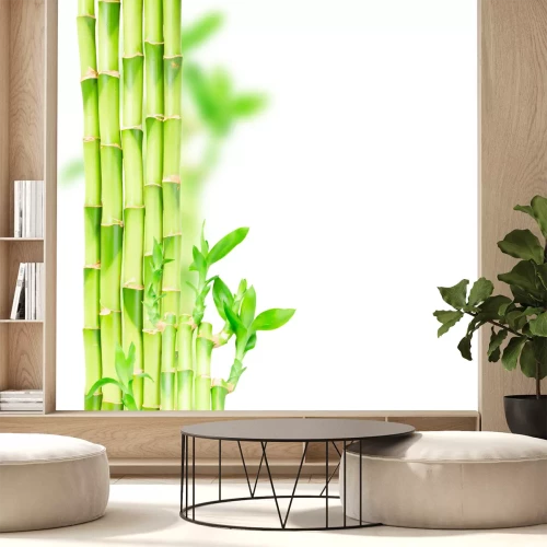 Sticker Grüne Bambus Stiele und Traufe Grenze isoliert auf weißem Hintergrund