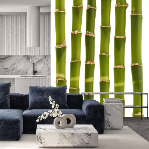 Sticker Grüne Bambus-Sektionen auf einem weißen Hintergrund isoliert