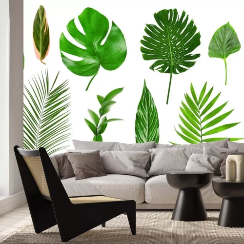 Sticker Verschiedene tropische Blätter auf weißem Hintergrund