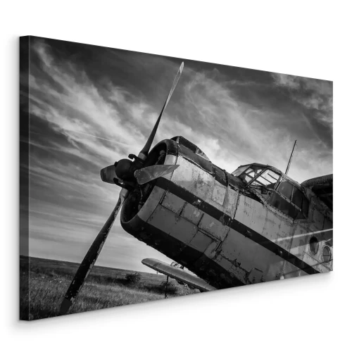 Bild Altes Flugzeug auf einem Feld in Schwarzweiß