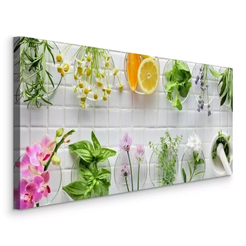 Bild Frische Kräuter