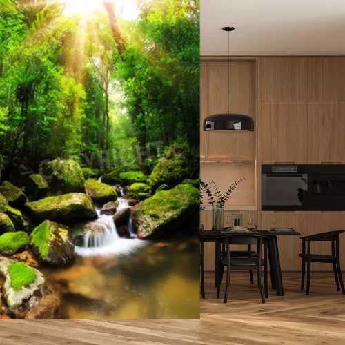 Fototapete Sonniger Dschungel und Bach