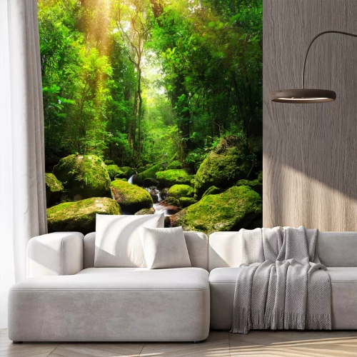 Fototapete Sonniger Dschungel und Bach