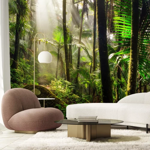 Fototapete Sonnenschein im Dschungel