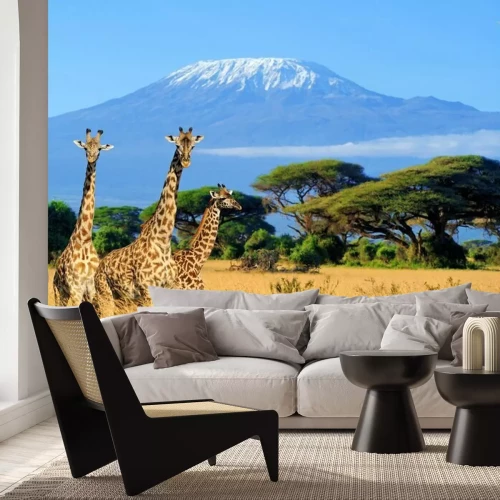 Fototapete Landschaft mit Tieren in Kenia