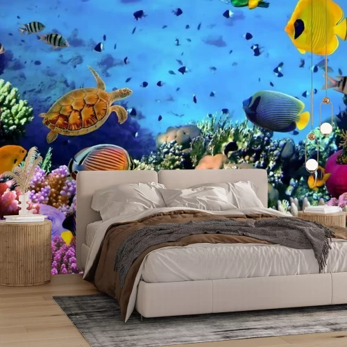 Fototapete Korallentiere und Fische