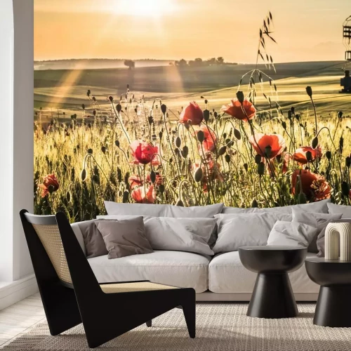 Fototapete Klatschmohn im Kornfeld