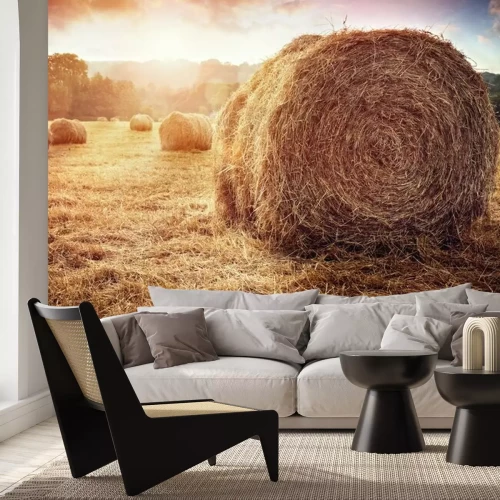 Fototapete Heufeld und Sonnenuntergang