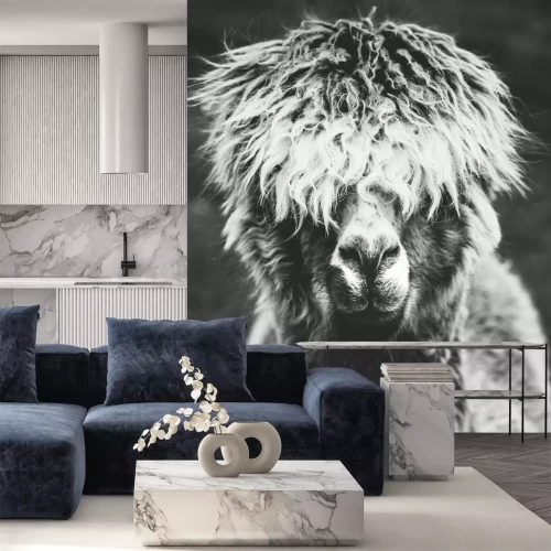 Sticker Schwarz-Weiß-Zeichnung mit einem Lama