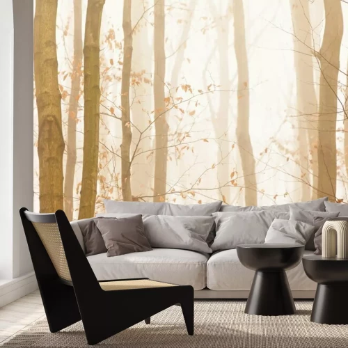 Fototapete Bäume verschwinden schnell in hellen gelben Nebel