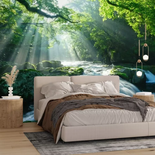 Fototapete Waldbach zwischen Felsen