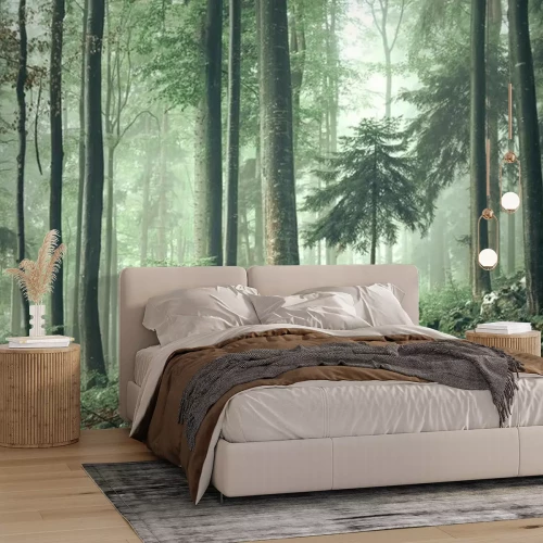 Fototapete Magie des Waldes