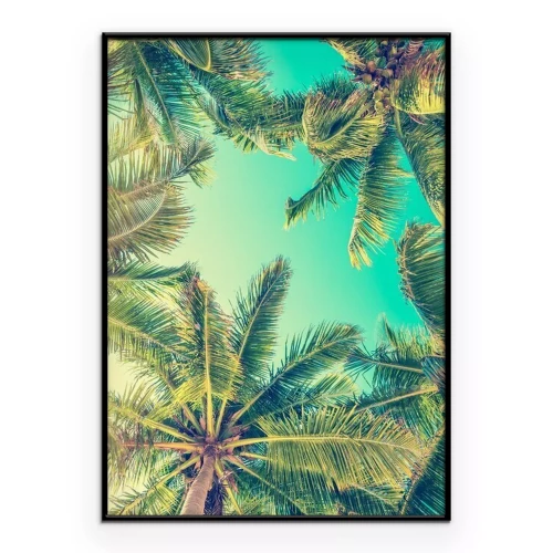 Poster Palmen in der Retrofotografie
