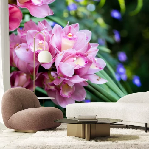 Fototapete Schöne Blumen